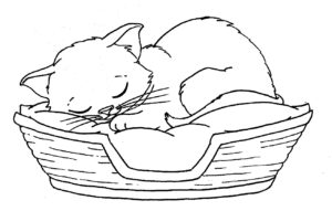 Cute Kittens Coloring Pages Coloring Home