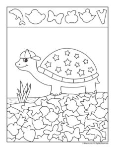 Cute Turtle Hidden Picture Printable Activity Woo Jr Kids