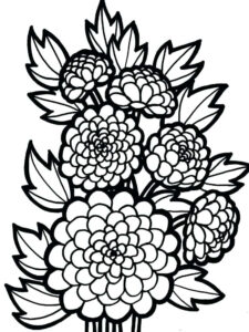 Dahlia Flower Coloring Pages At GetColorings Free Printable