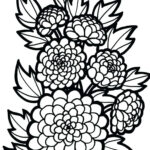 Dahlia Flower Coloring Pages At GetColorings Free Printable