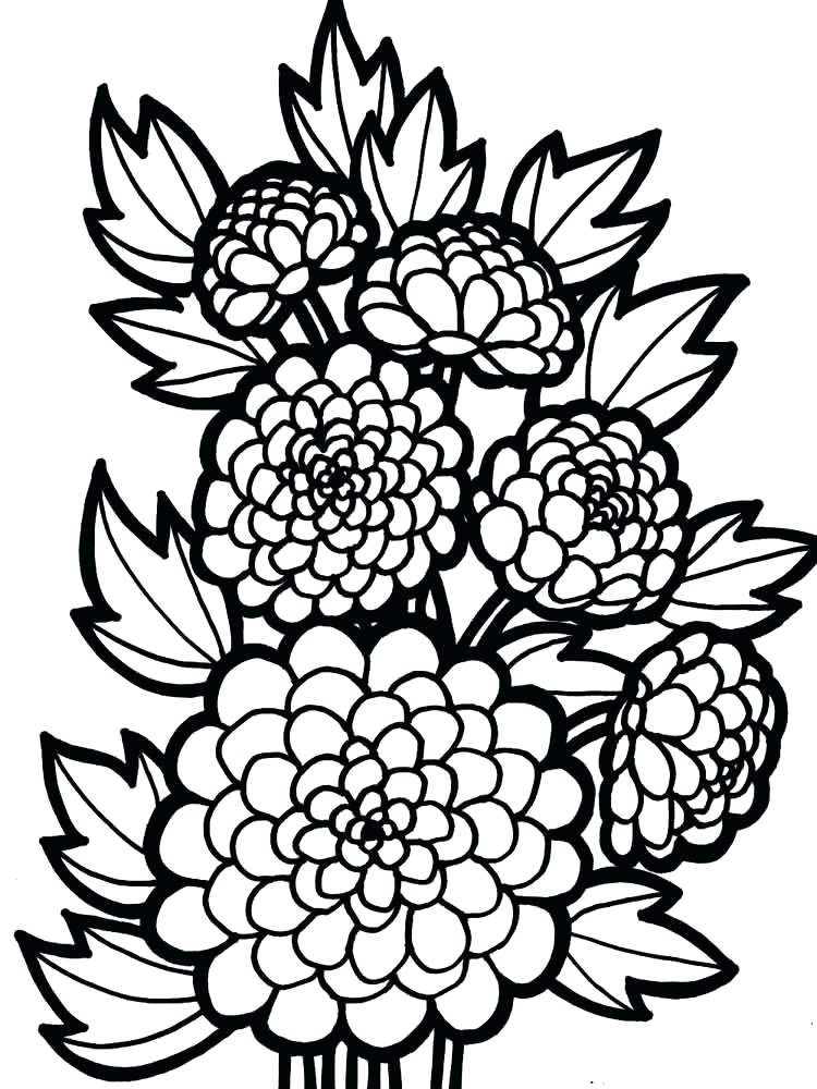 Dahlia Flower Coloring Pages At GetColorings Free Printable 