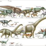 Dinosaur Sauropodomorpha Britannica