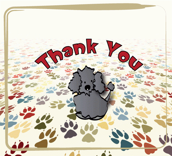 Dog Thank You Card Free For Everyone ECards Greeting Cards 123 