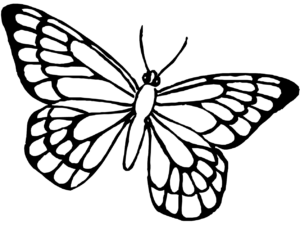 Drawings Butterfly Animals Page 3 Printable Coloring Pages