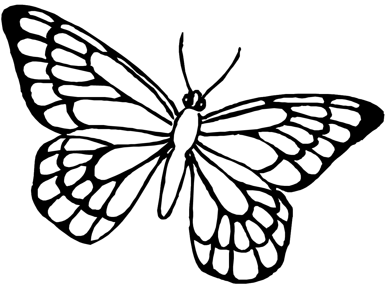 Printable Picture Of A Butterfly To Color
