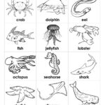 Educational Coloring Pages Sea Animals Preschool Ocean Coloring