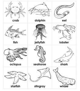 Educational Coloring Pages Sea Animals Preschool Ocean Coloring