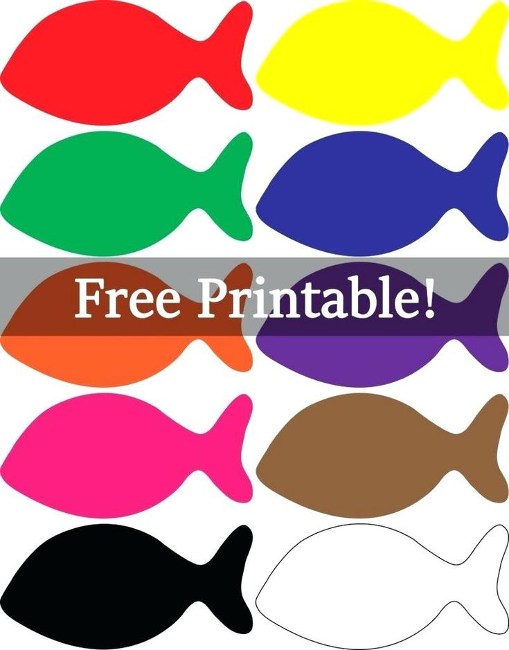 Fish Template To Color Printable Colorful Pictures Print In Ideas For 