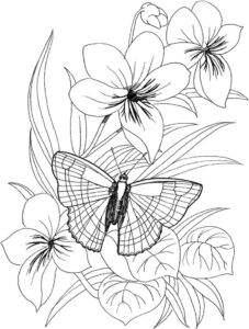 Flower Butterfly Coloring Pages Printable Flower Coloring Pages