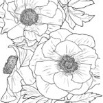 Flower Coloring Pages For Adults Best Coloring Pages For Kids