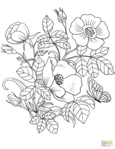 Flower Vine Coloring Pages At GetColorings Free Printable