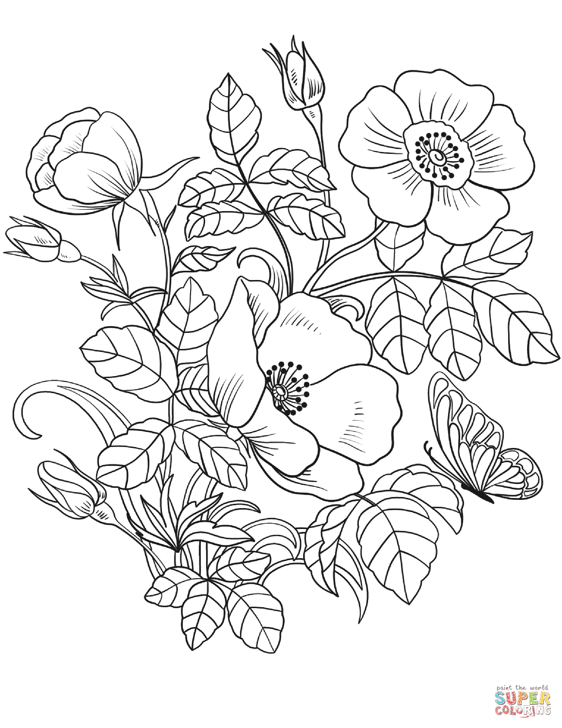 Flower Vine Coloring Pages At GetColorings Free Printable 