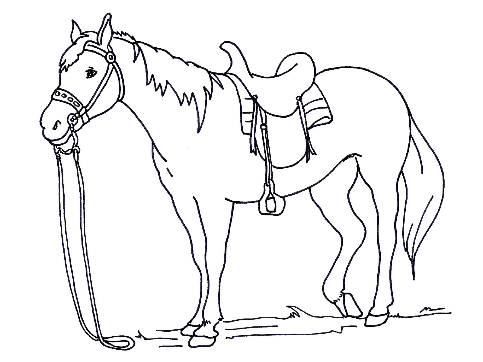 Horse Pictures To Color Printable