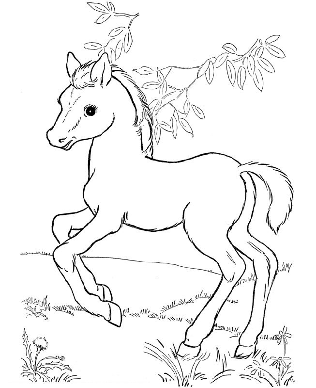 Free And Printable Horse Color Pictures Activity Shelter