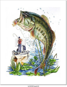 Free Art Print Of Bass Free Art Prints Watercolor Fish Fish Drawings