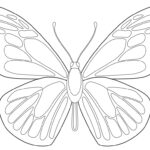 Free Butterfly Printable Art Projects For Kids