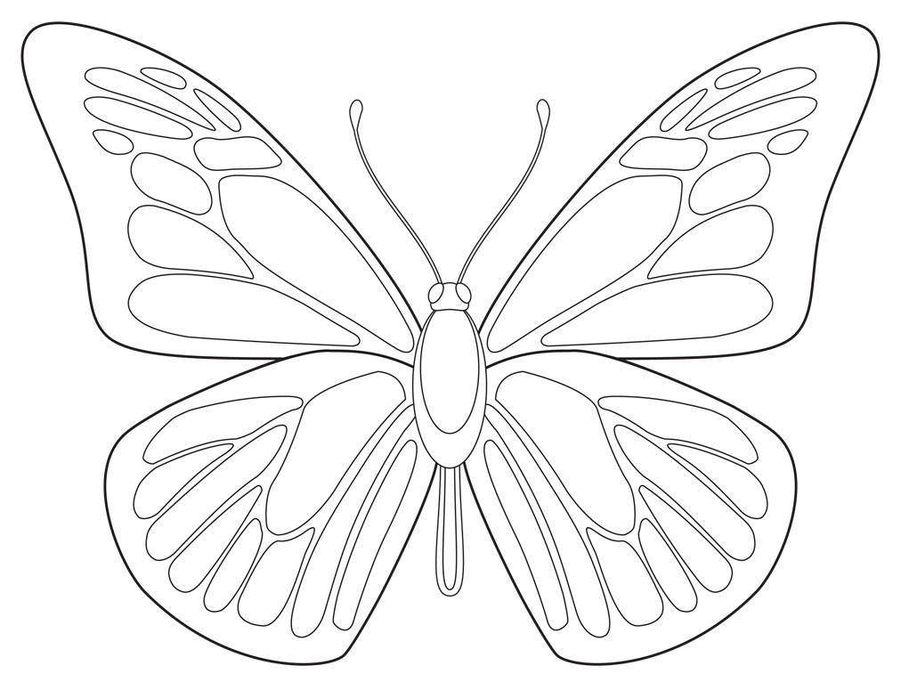 Free Butterfly Printable Art Projects For Kids Printable Pictures