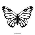 Free Butterfly Stencil Monarch Butterfly Outline And Silhouette