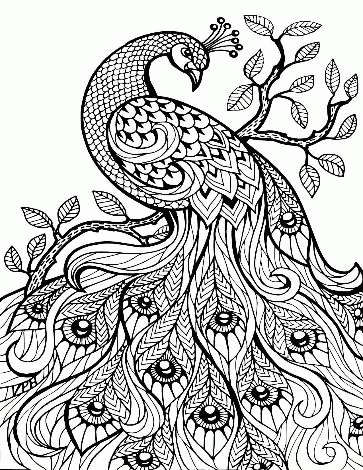 Free Coloring Pages For Adults Printable Easy To Color Animals 