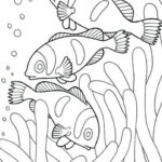 Free Easy To Print Fish Coloring Pages Easy Coloring Pages Fish