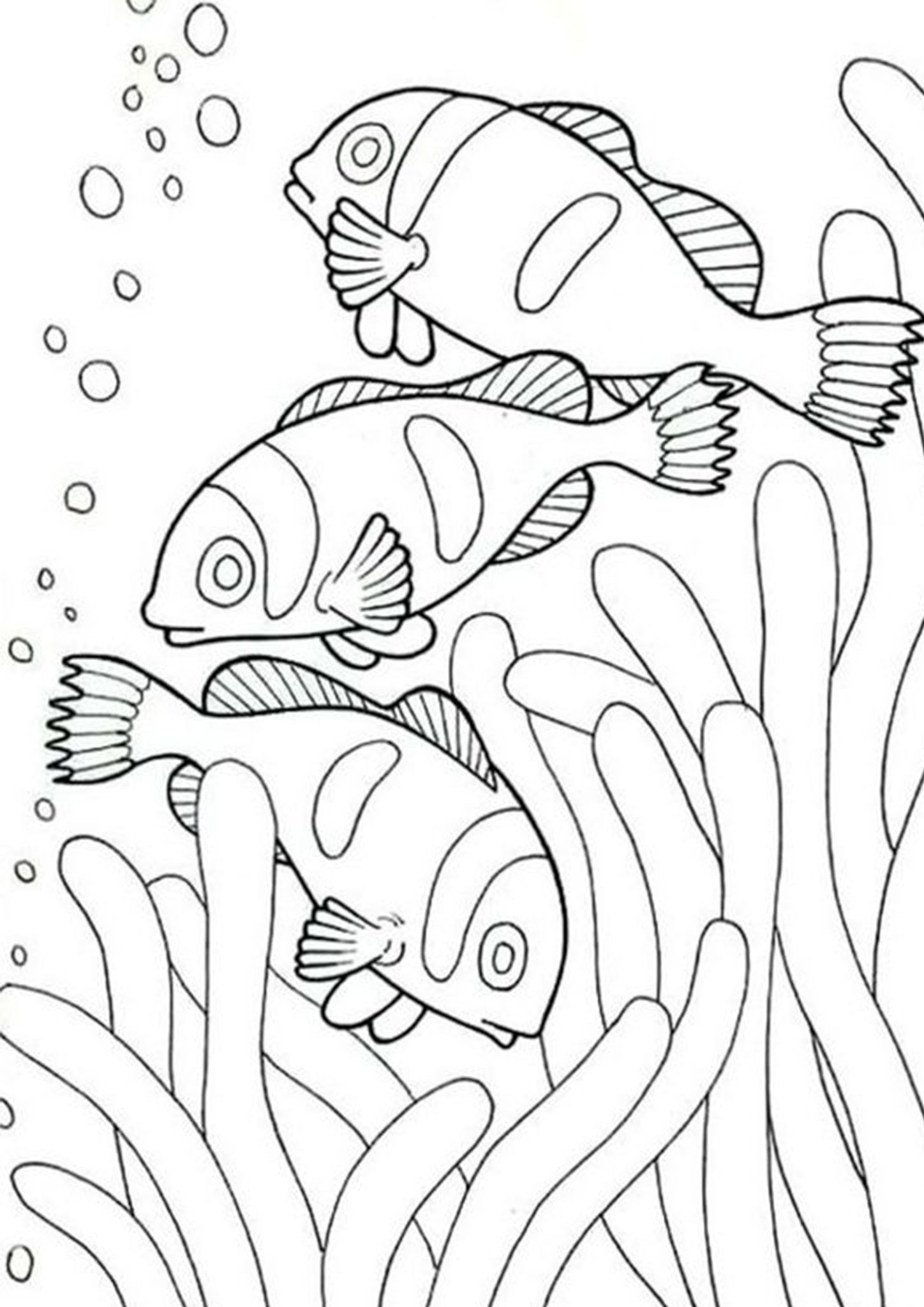 Free Easy To Print Fish Coloring Pages Easy Coloring Pages Fish 