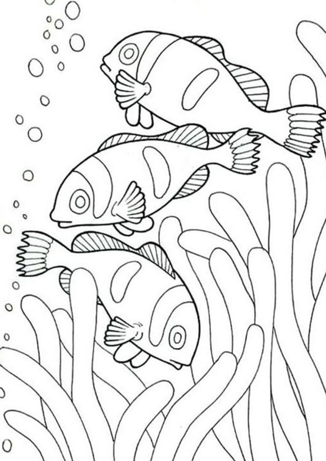 free-easy-to-print-fish-coloring-pages-easy-coloring-pages-fish