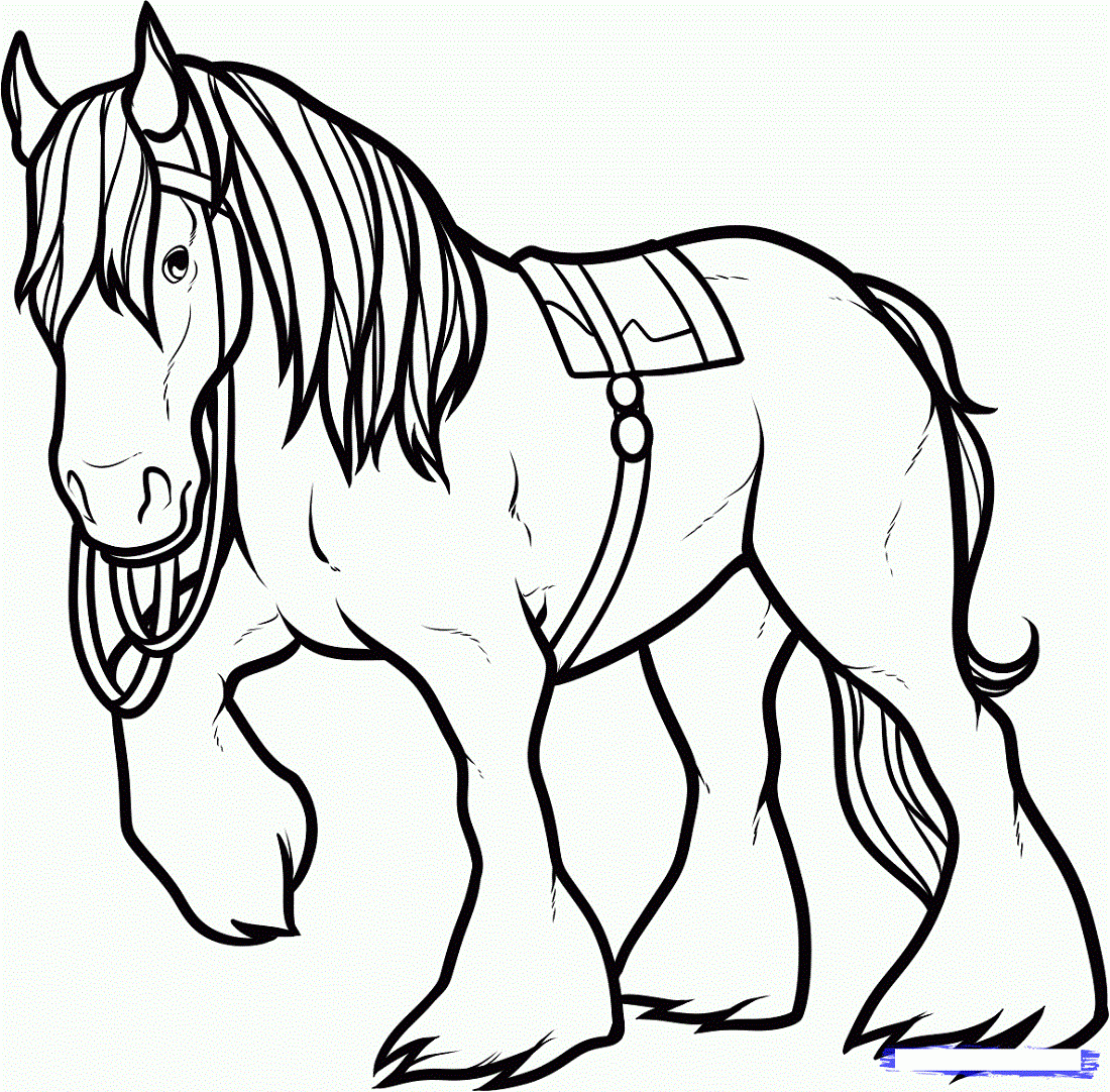 Printable Horse Coloring Pictures