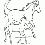 Free Horse Pictures To Print Coloring Home