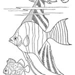 Free Printable Adult Coloring Page Tropical Fish The Graphics Fairy