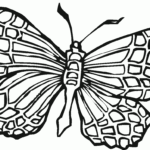 Free Printable Butterfly Coloring Pages For Kids