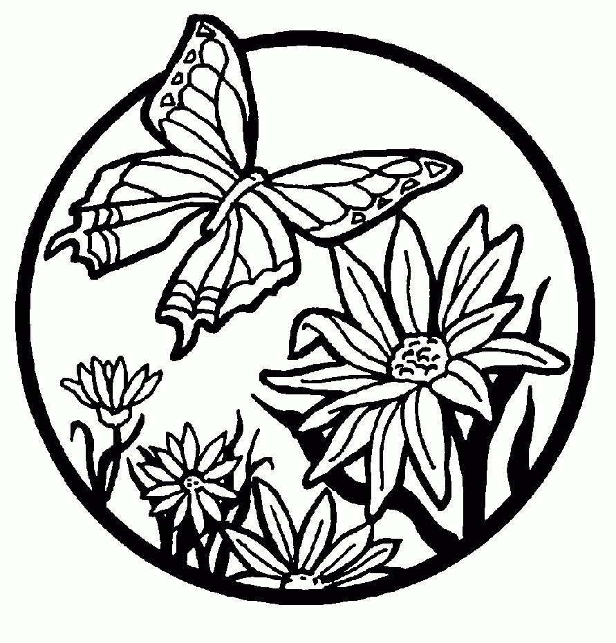 Free Printable Butterfly Coloring Pages For Kids