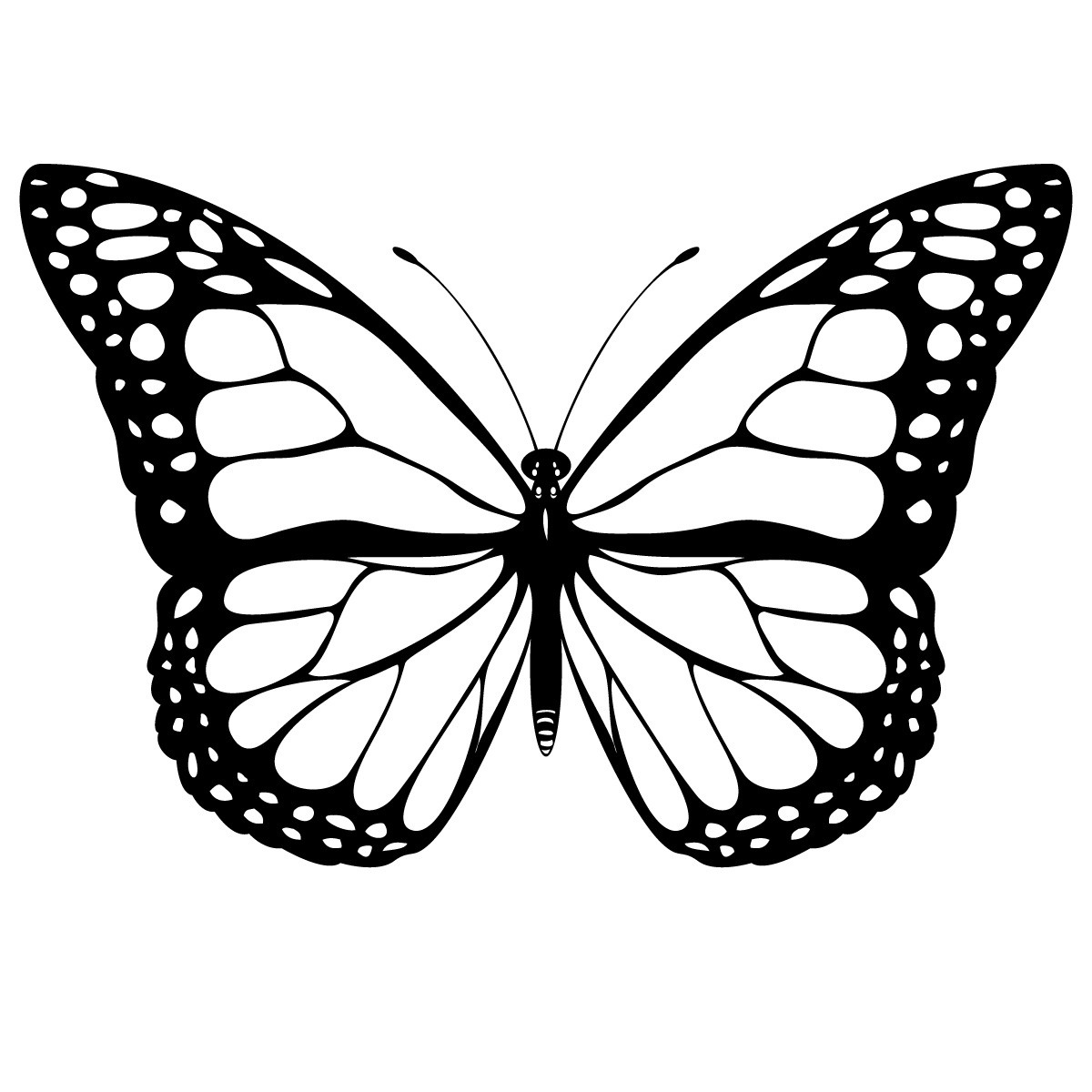 Butterfly Picture To Color Free Printable