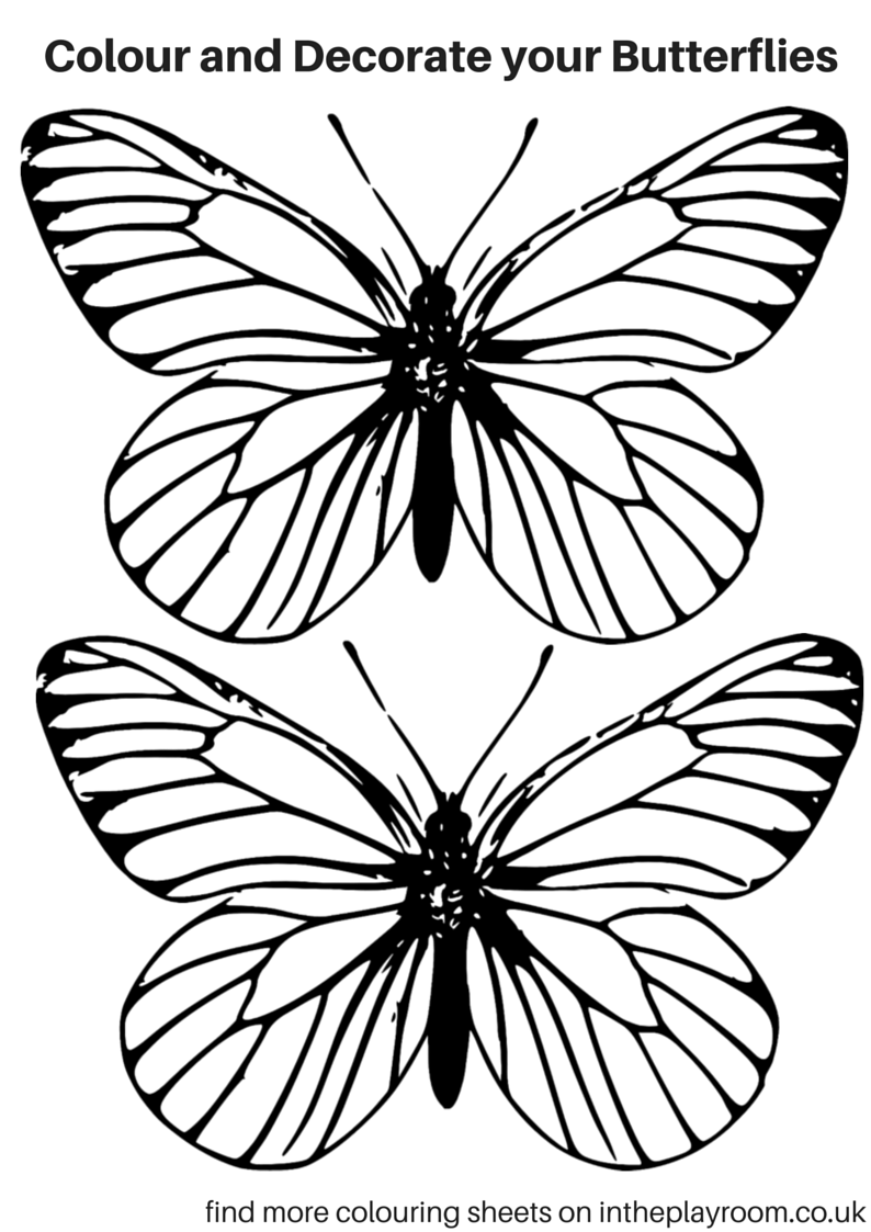 Butterfly Picture Printable
