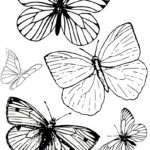 Free Printable Butterfly Colouring Pages In The Playroom