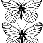 Free Printable Butterfly Colouring Pages In The Playroom