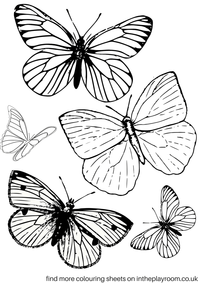 Free Printable Butterfly Colouring Pages In The Playroom