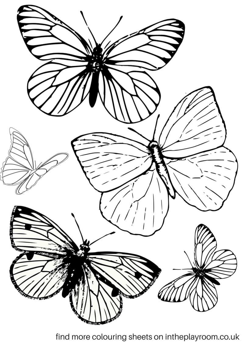 Printable Butterfly Pictures To Print