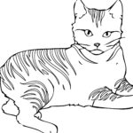 Free Printable Cat Coloring Pages For Kids