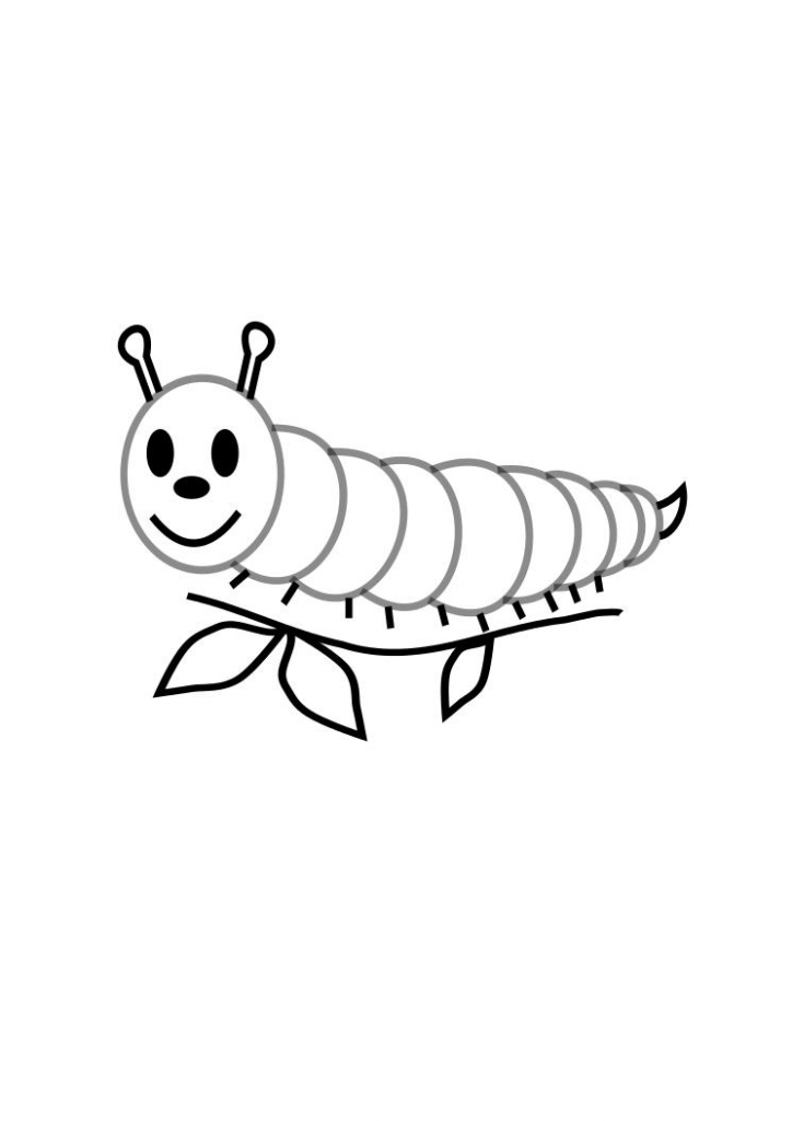 Printable Pictures Of Caterpillars
