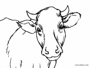Free Printable Cow Coloring Pages For Kids