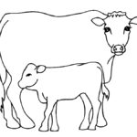 Free Printable Cow Coloring Pages For Kids