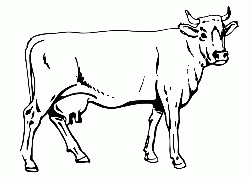 Free Printable Pictures Of Cows