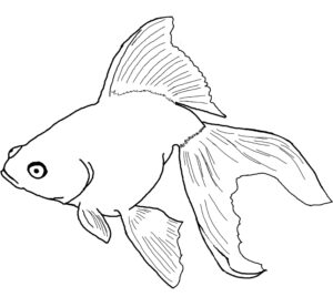 Free Printable Fish Coloring Pages For Kids