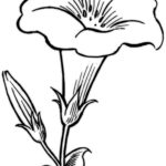 Free Printable Flower Coloring Pages For Kids Best Coloring Pages For