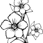 Free Printable Flower Coloring Pages For Kids Best Coloring Pages For