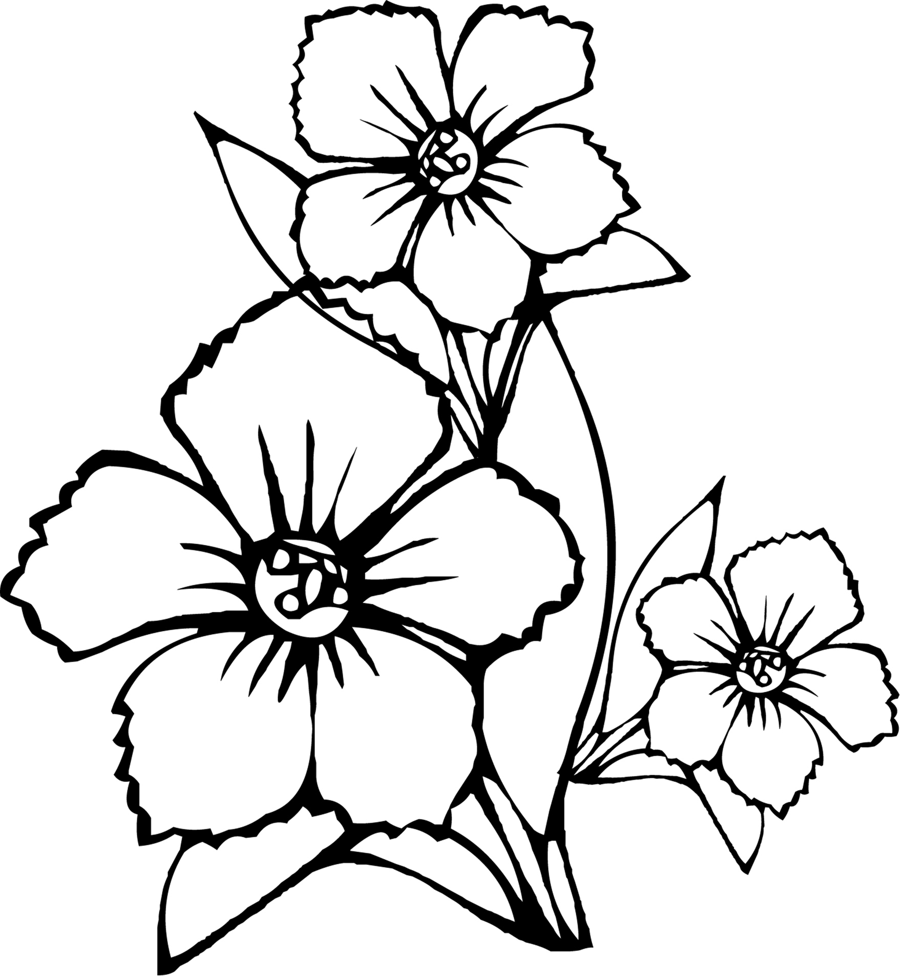 Free Printable Flower Coloring Pages For Kids Best Coloring Pages For 