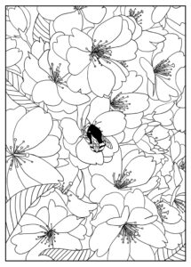 Free Printable Flower Coloring Pages For Kids Best Coloring Pages For
