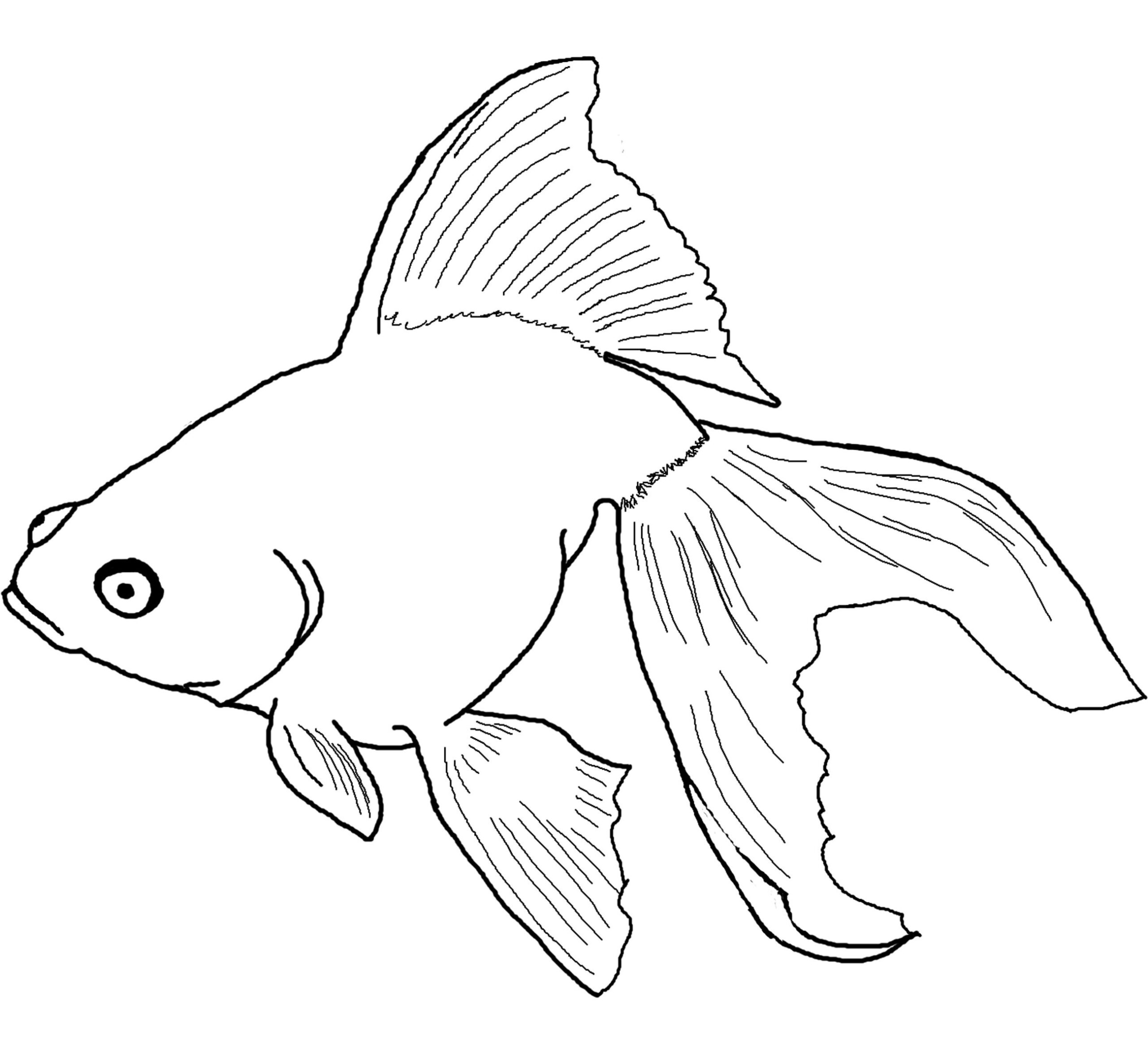 Free Printable Pictures Of Fish To Color