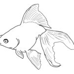 Free Printable Goldfish Coloring Pages For Kids
