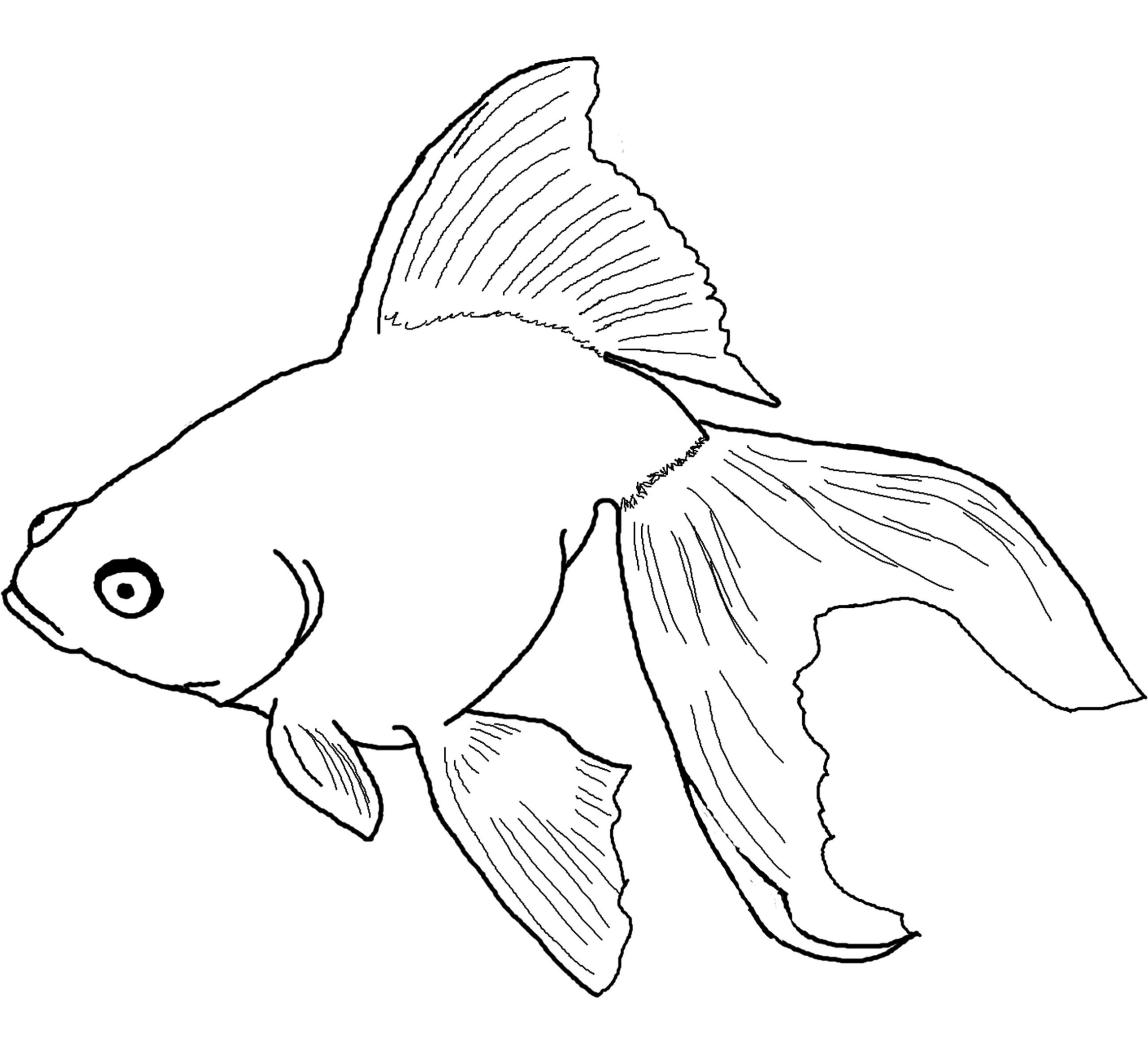 Free Printable Goldfish Coloring Pages For Kids